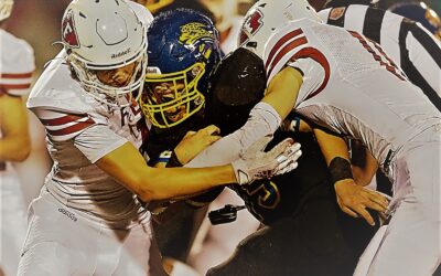 Fox, Northwest, and Seckman: Previewing Our 3 Suburban League Brands in 2023