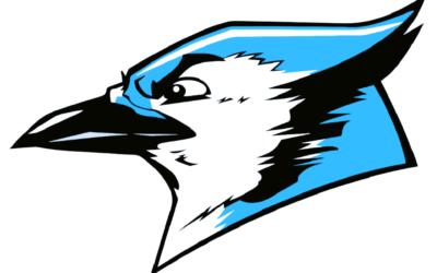 Week 4 Friday Night Scores & Analysis: Blue Jays, Hawks, and Varsity Owls Make Statements on a Wild Night of TDs