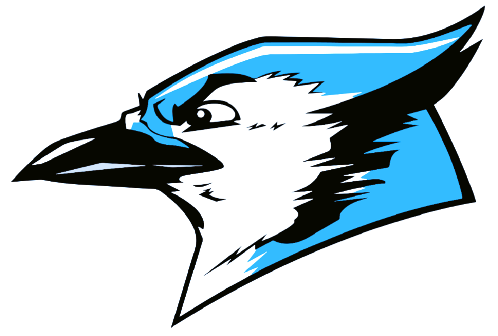 Week 4 Friday Night Scores & Analysis: Blue Jays, Hawks, and Varsity Owls Make Statements on a Wild Night of TDs